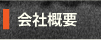 ЊTv